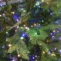 Kensington Fir Tree – 7.5′